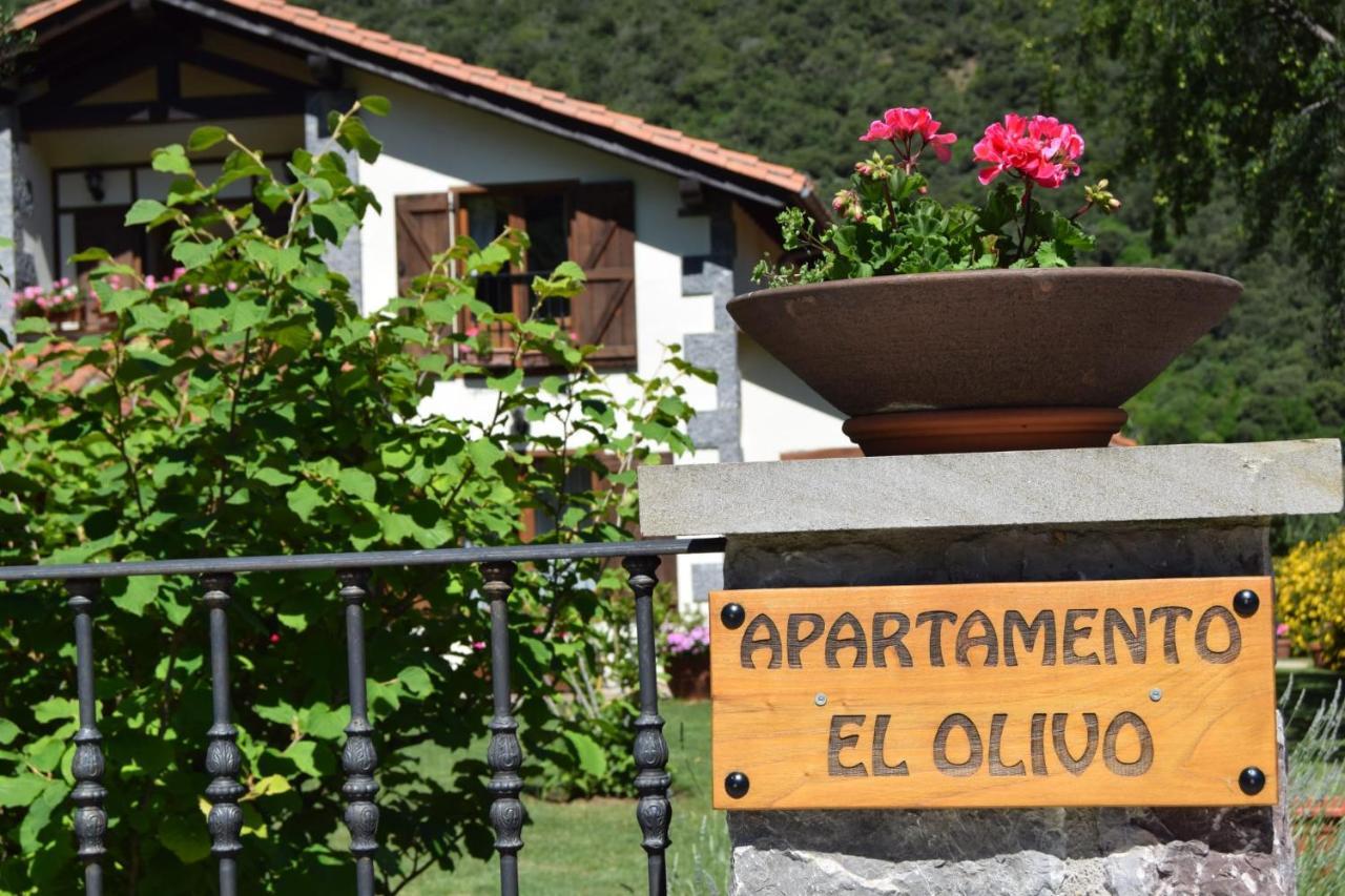 אוחדו Excepcional Apartamento El Olivo מראה חיצוני תמונה